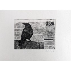 Raven & Mailbox