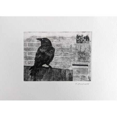 Raven & Mailbox